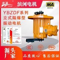 振動(dòng)電機(jī)YBZDF-10-6法蘭式隔爆型三相電機(jī)